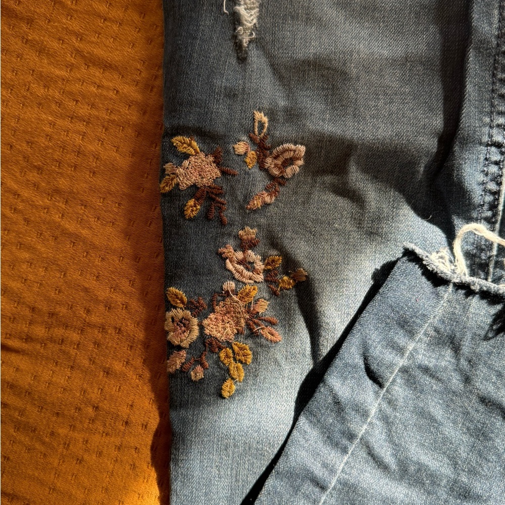 EUC Democracy Embroidered Skinny Jeans - Picture 5 of 6